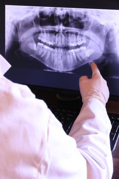 Best Emergency X-Rays and Diagnostics in North Branch, MN